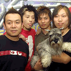 達(dá)達(dá)樂隊(duì)